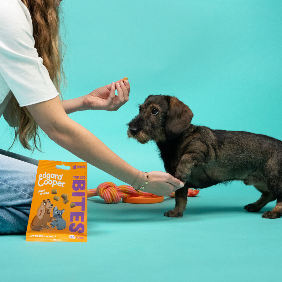 50 g Edgard & Cooper Bocaditos Mini de Salm&oacute;n y Pollo para perros, , large indicador imagen numero 3